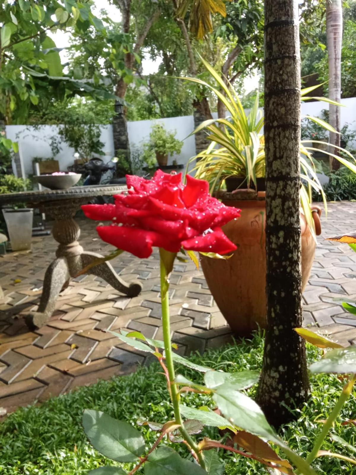 Hotel Awon Mirissa Exterior foto